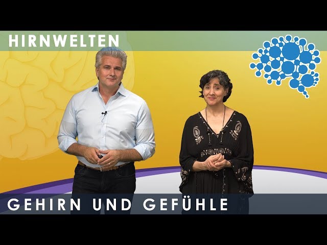 Brain and Emotions│Children's Lecture│Damir and Marymar del Monte│Encephalon Brain Worlds