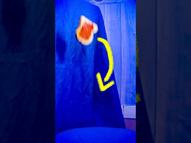 The TOAST falls on the JAM side? #science #learn #education #scientific