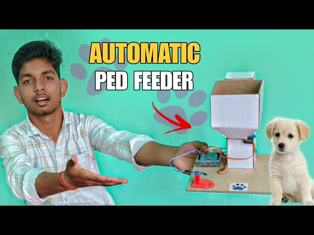 Automatic Pet Feeder Machine Using Arduino Uno |l Arduino Projects ll Arduino Based Project #video 