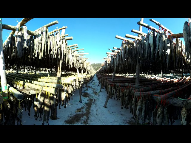 8K 360VR 진부령황태장 - 2017.01.12