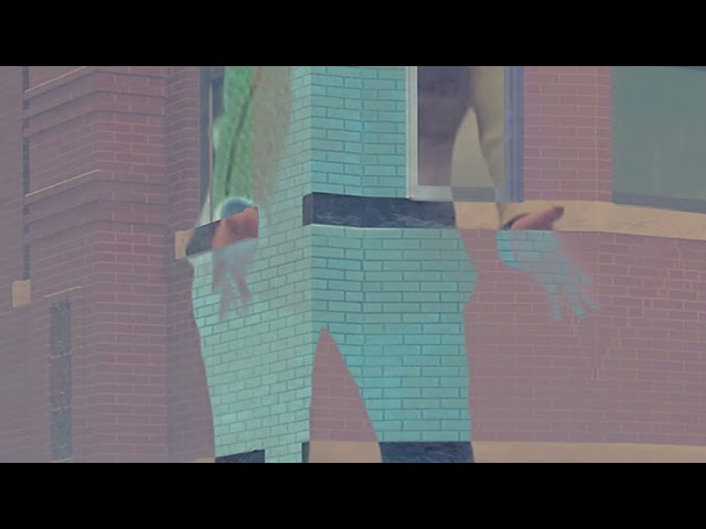 Experiment 2: Phobetor