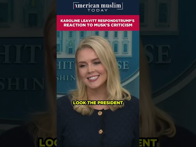 Is Karoline Leavitt Defending Trump's 'Big, Beautiful Bill' Amid Musk's Criticism?