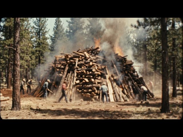 UNSEEN FOOTAGE: Watch Traditional Charcoal Making in Germany!