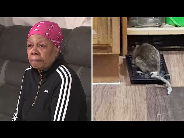 Bronx woman worried about health after apartment overrun with rats