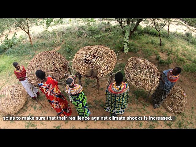Improving the livelihoods of communities in arid and semi-arid lands