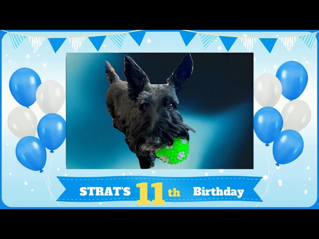 Strat's 2024 Birthday!