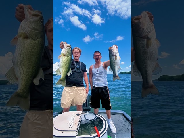 ‼️ AWESOME DOUBLE UP‼️ on Big Bass! #personalbest #fishing #fishing charter
