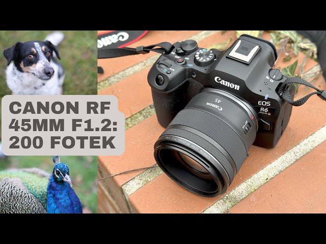 Canon RF 45mm F1.2 STM - recenze + 200 fotek z testu