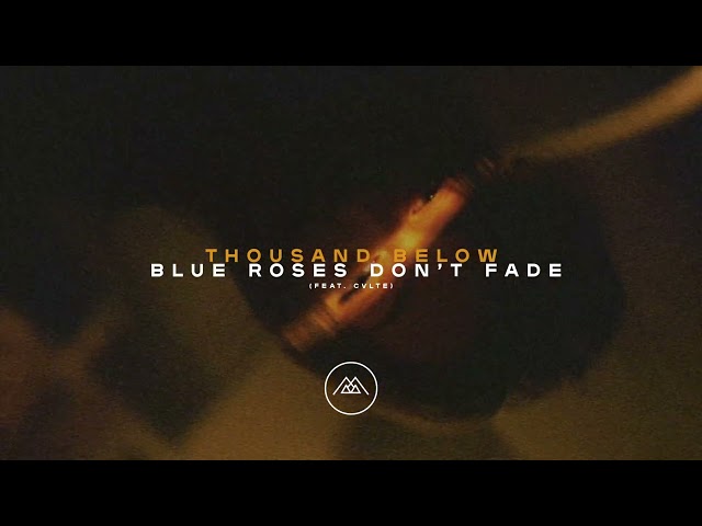 Thousand Below - "Blue Roses Don't Fade" ft CVLTE  (Official Audio Stream)