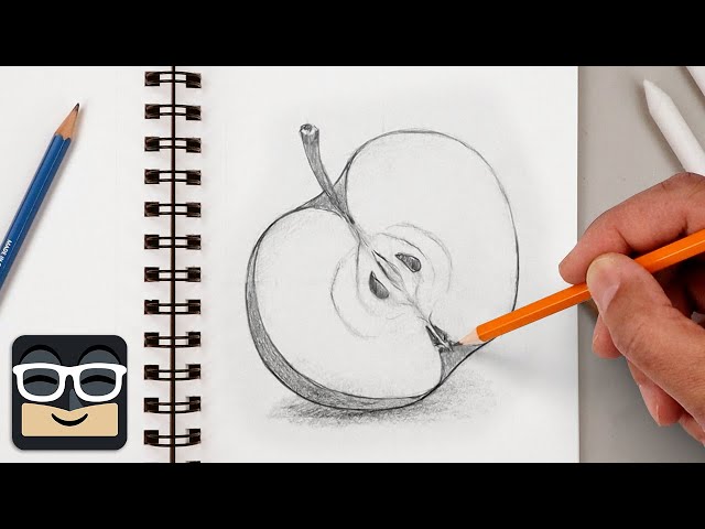 How to Draw a Realistic Sliced Apple | Step by Step Sketch Tutorial
