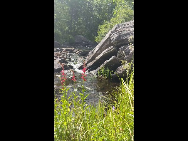 Rocky stream with red flowers at Crooked Slide