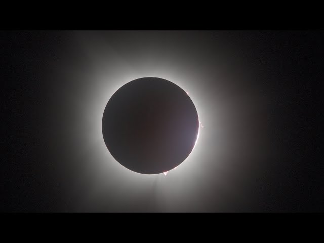 Chase the 2024 Solar Eclipse with Scientific American