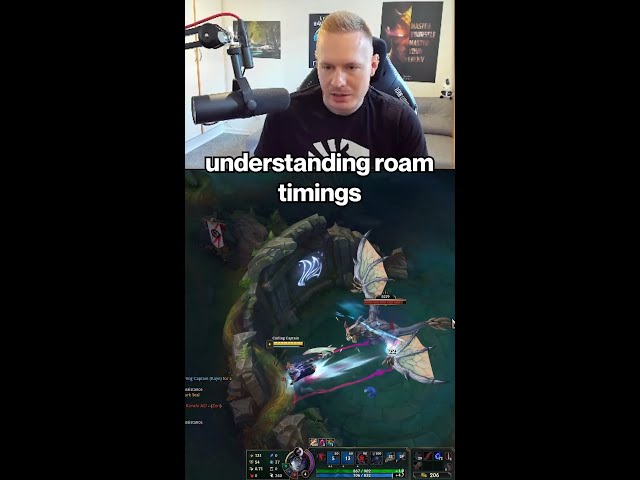 All support players should know how to roam