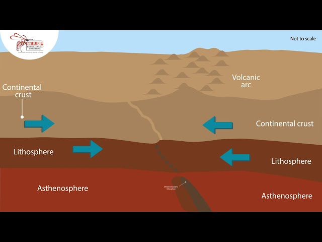Convergence (continental crust)