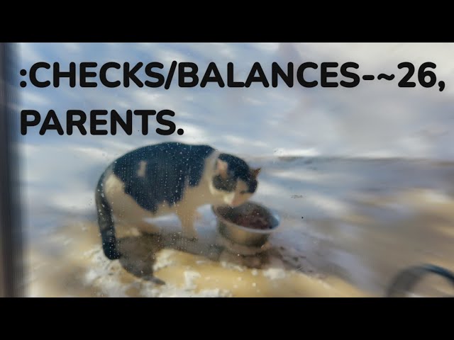 :CHECKES/BALANCES-~26, PARENTS.