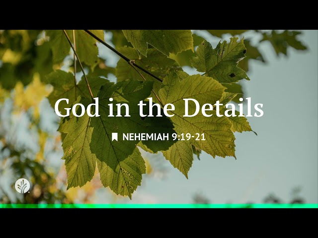 God in the Details | Audio Reading | Our Daily Bread Devotional | March 27, 2026