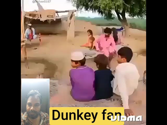 dunkey fan