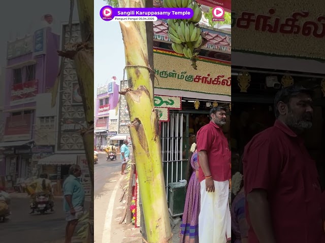 பங்குனிப் பொங்கலுக்கு பூ அலங்காரத்துடன் தயாராகும் சங்கிலி கருப்பசாமி கோவில்