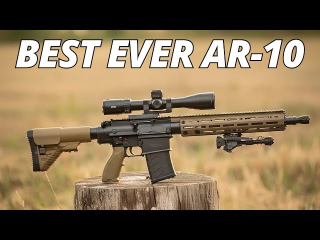 The 10 BEST AR-10 Rifles EVER MADE!