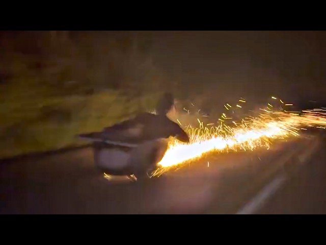 UNUSUAL MEMES COMPILATION V346