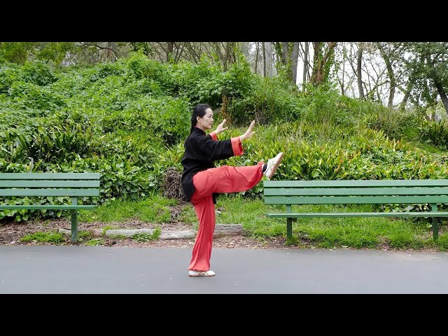 Yang-Style Tai Chi Traditional Long Form – Full Front View Demonstration | 楊式太極拳傳統85式 全套正面演練