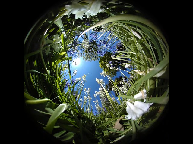 360°, Immersive Cinema, Dome, Fulldome, VR, Virtual Reality