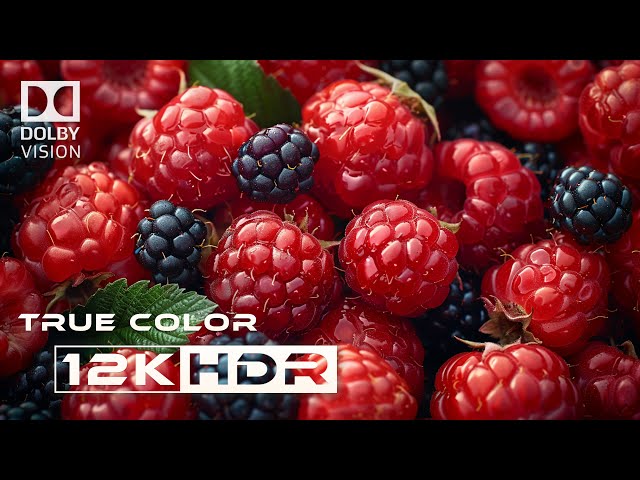 See Every Detail in Stunning Clarity with 12k HDR Video Technology