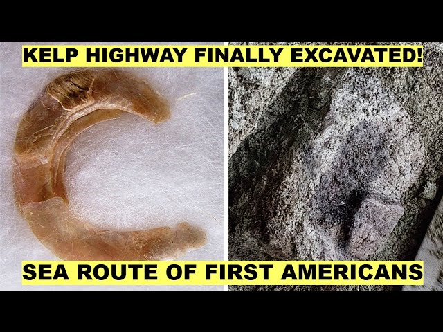 First-Ever Study of the Kelp Highway Reveals Groundbreaking Evidence