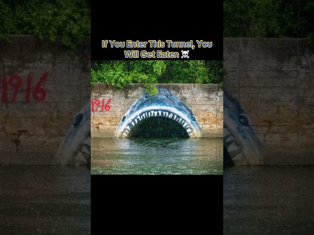 If You Enter This Tunnel, You Will Get Eaten ☠️ #interesting