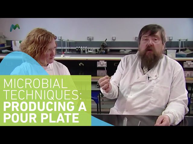 Microbiology Techniques: Producing a pour plate