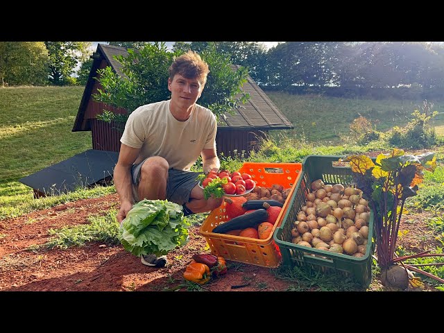 Life in the Countryside – 20 Peaceful Days of Farming