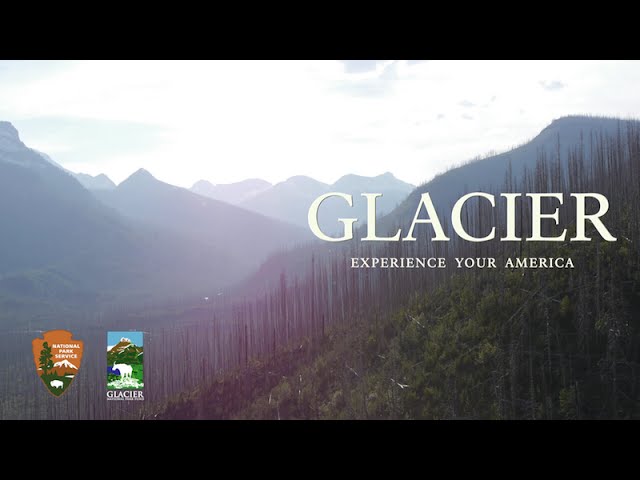 Glacier National Park: The Loop