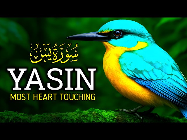 Soulful Recitation to Heal Your Heart: Surah Yasin (Very Emotional) | Zain Abu Kautsar