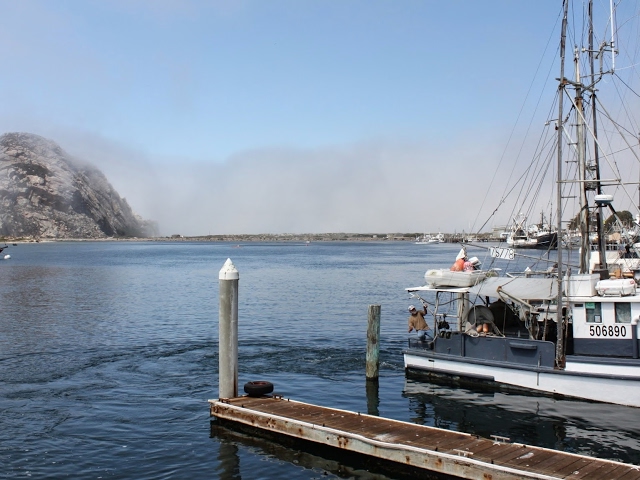 pubg hacking rank push