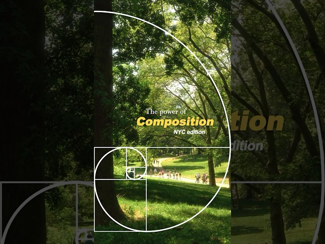 The Power of Composition