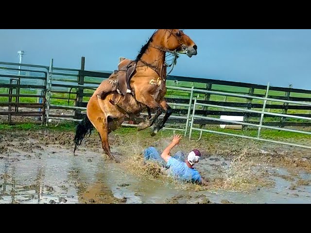 Try Not to Laugh Challenge Impossible🤣 Best Fails of July 2025