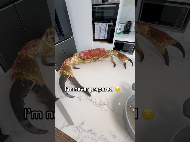 Cooking World’s Largest Crab!