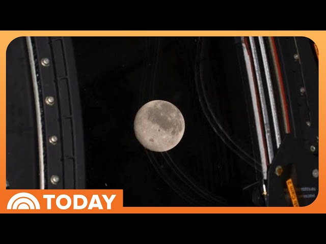 See Pics of Dark Side of Moon Captured by Artemis II Astronauts