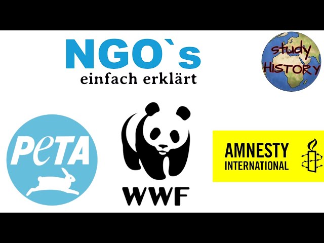 NGOs simply explained | Definition, advantages & criticism