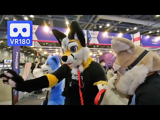 3D 180VR 4K Very Cute Fox Boys Fursuit Cosplayers in Game Exhibition