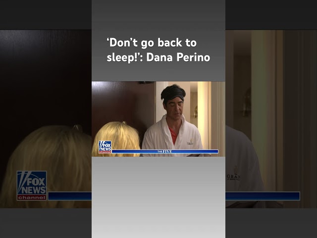 Dana Perino wakes up Jesse Watters #shorts