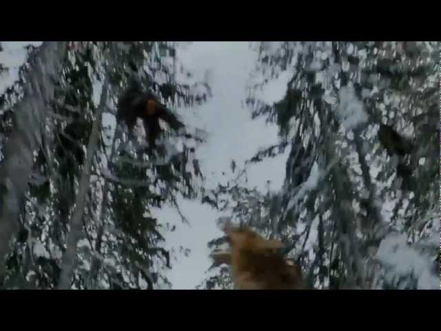 TV Spot - The Twilight Saga - Breaking Dawn - Part 2