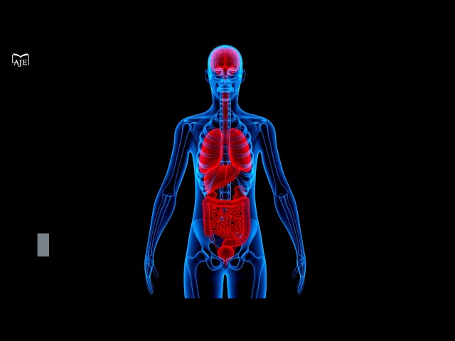 Dual GCGR/GLP-1 receptor agonism improves glycemic and metabolic outcomes in Chinese adults with T2D