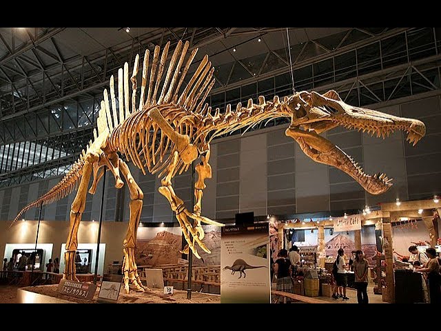 Als die Dinosaurier die Welt beherrschten 2/2: Globale Diktatur | Dokumentation