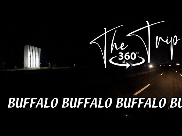 The Trip: Finally, Some Rest [360 VR]