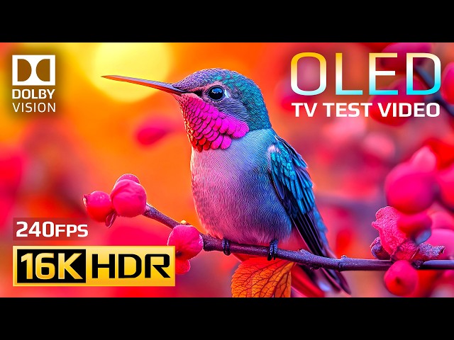 Breathtaking Ultra Clarity | 16K HDR 240fps Dolby Vision For 8K OLED/QLED TV