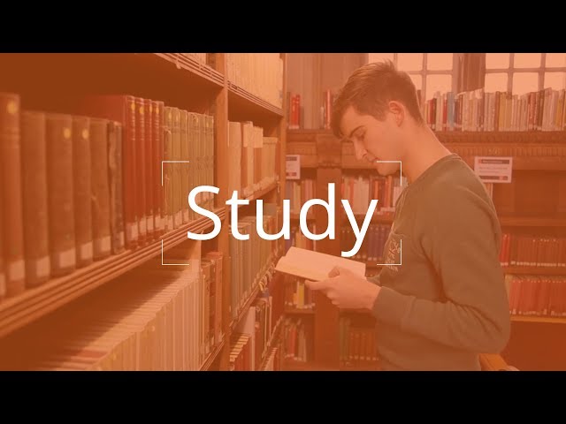 Royal Holloway Virtual Experience - Study