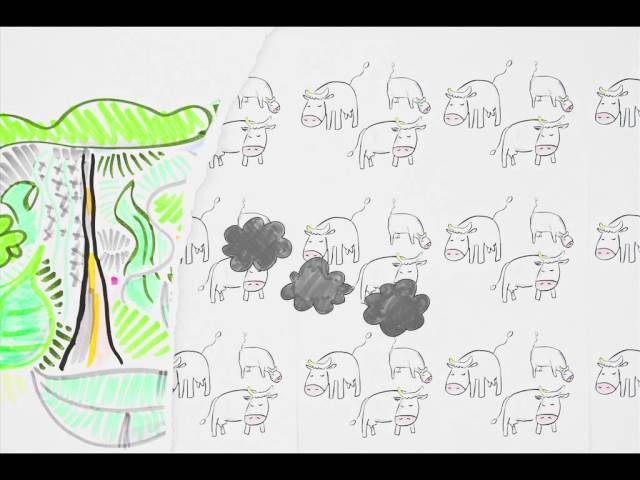 Was ist eigentlich Neo-Extraktivismus?