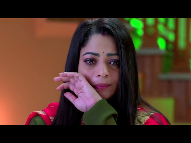 Mrs Hitler | Romantic Malayalam Serial |Full Ep 489- Meghana Vincent, Ponnamma Babu | Zee Keralam