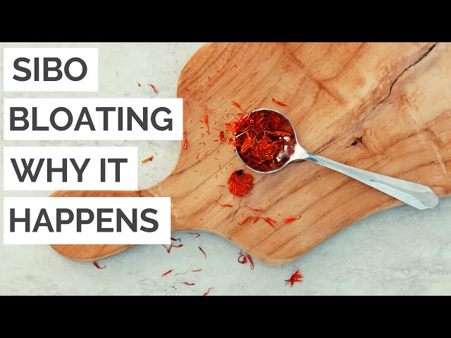 SIBO and Bloating: A Traditional Chinese Medicine Perspective